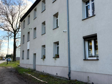 Mieszkanie przy lesie