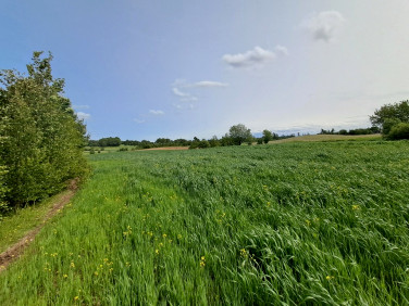 Działka budowlana Szklana