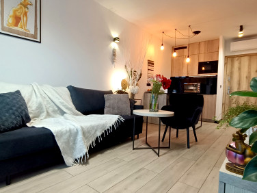 Mieszkanie Bielsko-Biała