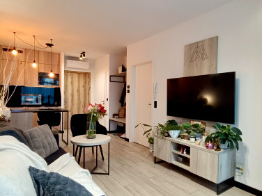 Mieszkanie Bielsko-Biała wynajem