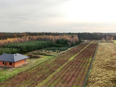 Działka budowlano-rolna Beznatka sprzedam