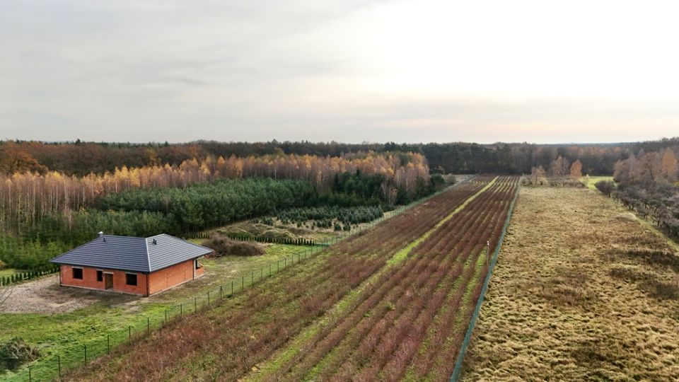 Działka budowlano-rolna Beznatka sprzedam