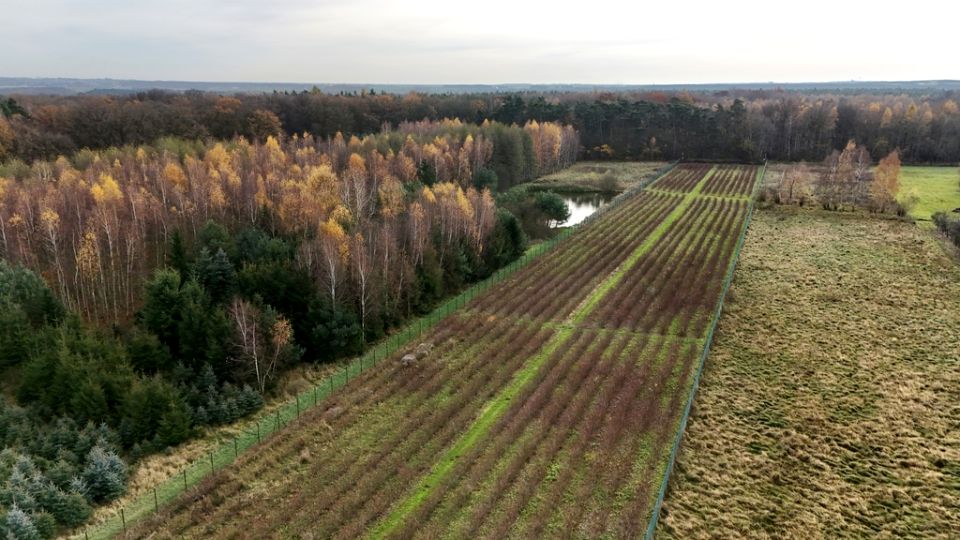 Działka budowlano-rolna Beznatka