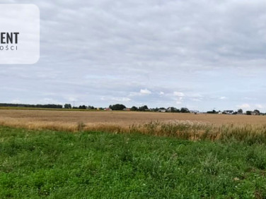 Działka budowlana Mochle sprzedam