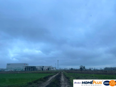 Działka inwestycyjna Emilianów