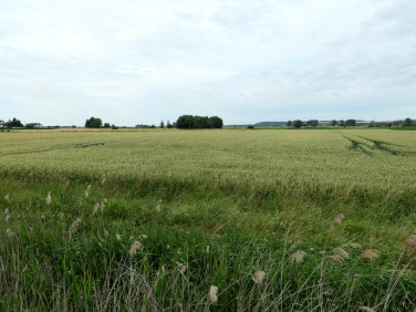 Działka budowlana Mareza