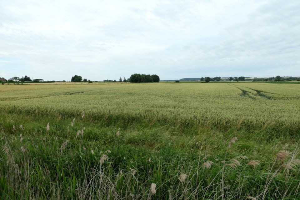 Działka budowlana Mareza