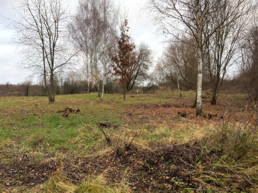 Działka budowlana Dołuje