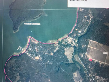 Działka usługowa Borsk