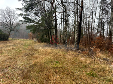 Działka budowlana Gołubie