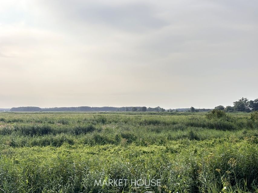 Działka rolna sprzedam