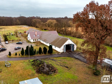 Budynek użytkowy Stepnica