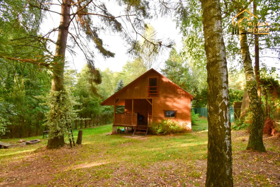 Działka rekreacyjna Rogóźno