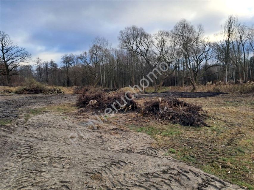 Działka Budy-Grzybek