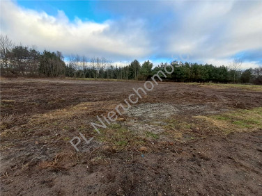 Działka budowlana Budy-Grzybek