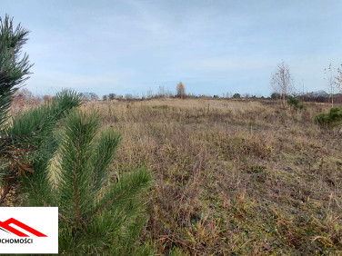 Działka Górzno-Wybudowanie