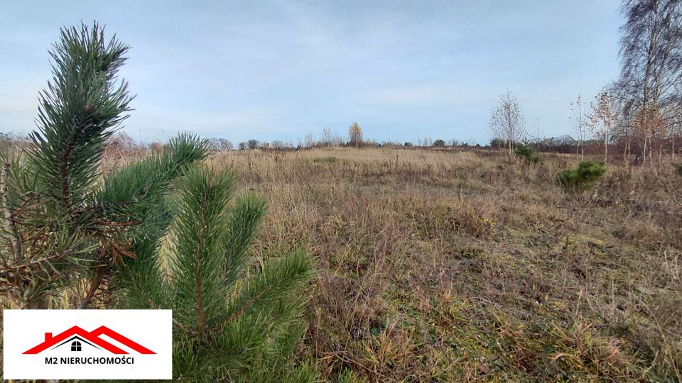 Działka Górzno-Wybudowanie