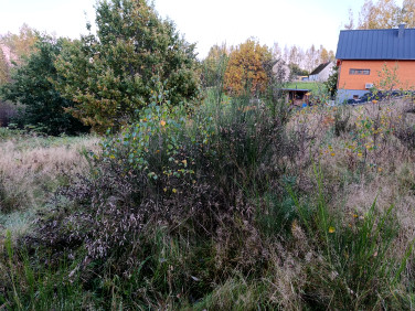 Działka budowlana Szarłata