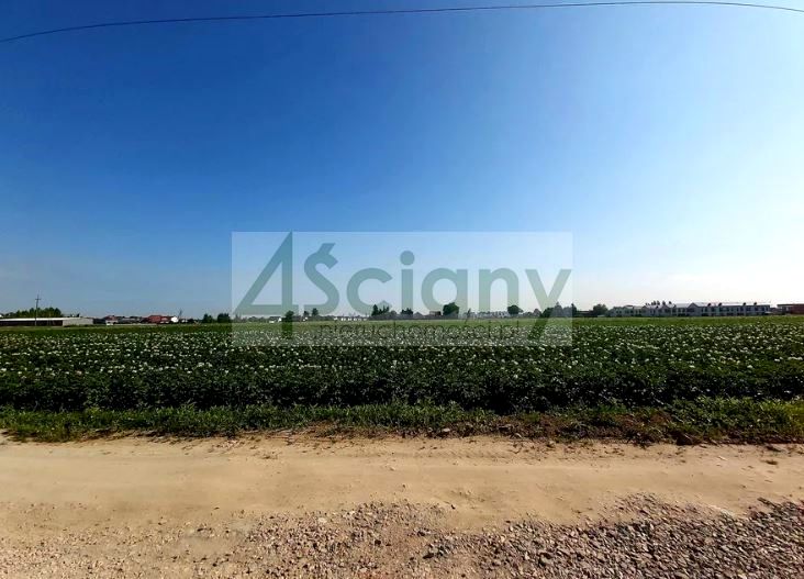 Działka budowlana Falenty Nowe