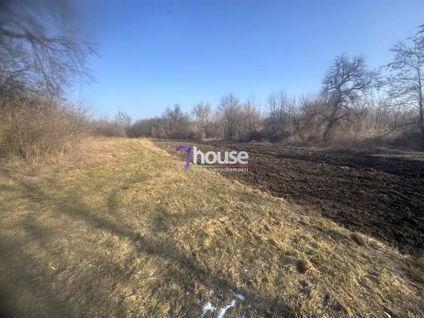 Pusta działka Kolosy