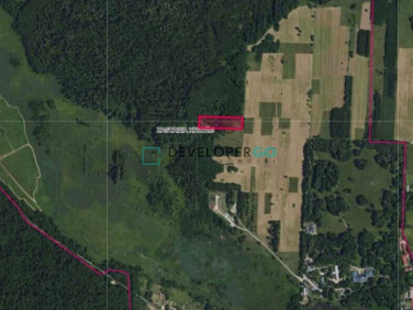 Działka rolna Białowieża