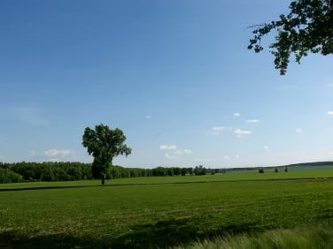 Działka budowlana Siedliska