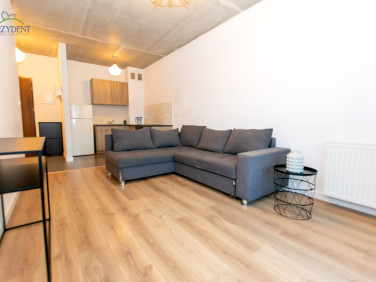 Mieszkanie apartamentowiec wynajem