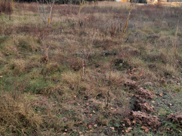 Działka budowlana Nowe Mostki