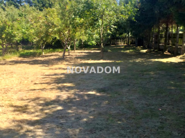 Ogrodzona działka Borki