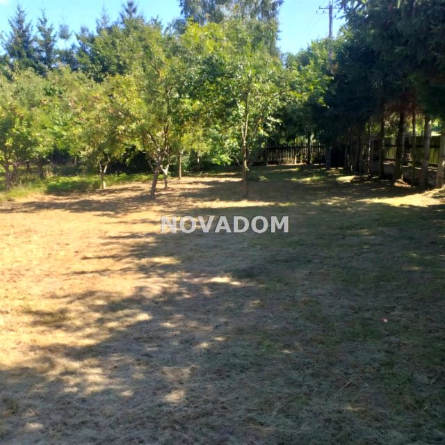 Ogrodzona działka Borki