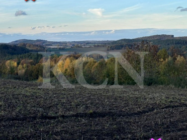 Działka rolna Klecza