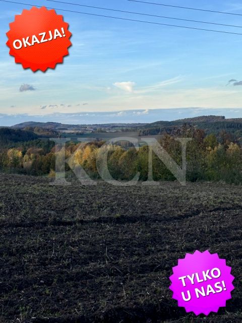 Działka rolna Klecza