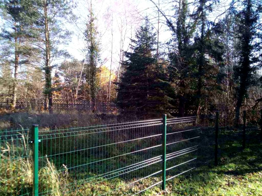 Zdjęcie 3