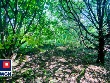 Działka budowlana Sosnowiec