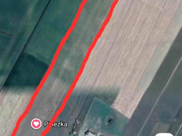 Działka rolna Bedlno