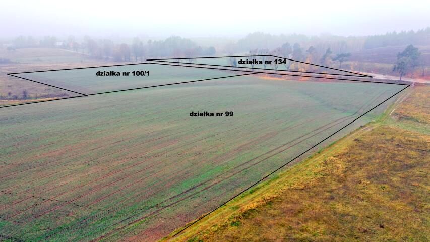 Działka rolna Dziubiele