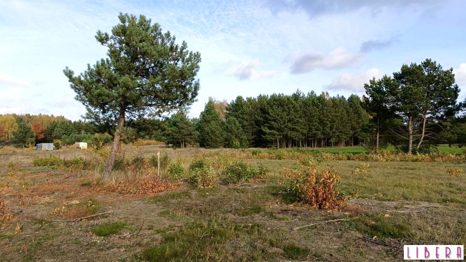 Działka budowlana Godzimierz