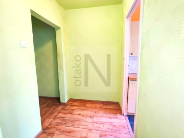 Mieszkanie blok mieszkalny przy lesie