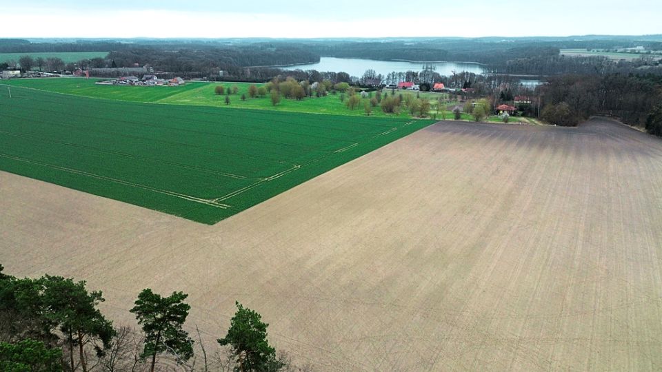 Działka budowlana Ławica