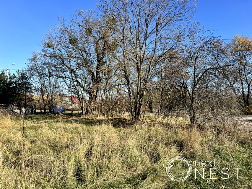 Działka siedliskowa Brześce