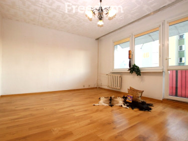 Mieszkanie Koło sprzedaż