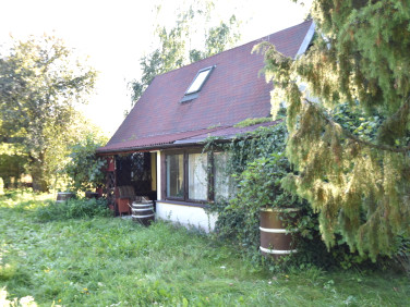 Działka siedliskowa Luciejów