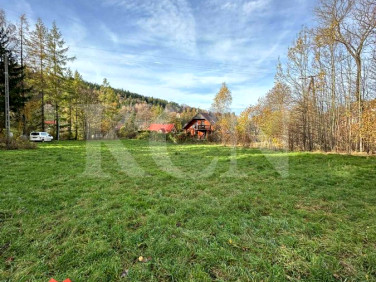 Pusta działka Świeradów-Zdrój