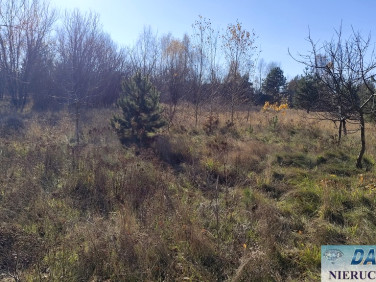 Działka budowlano-rolna Narew