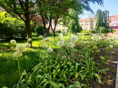 Mieszkanie Częstochowa