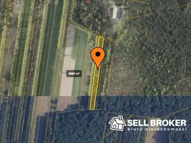 Działka rolna Cielechowizna