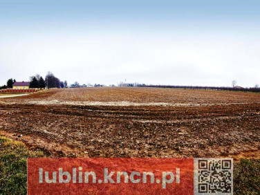 Działka Tomaszowice