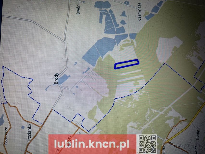 Działka leśna Brody