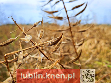 Działka Nałęczów