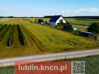 Działka Borów-Kolonia